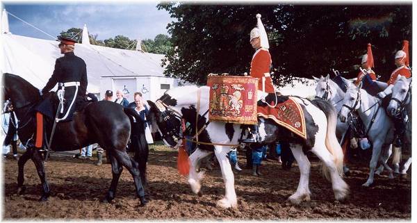 drum horse Spartacus in England