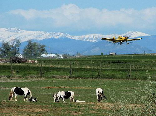 crop duster and gypsy horses