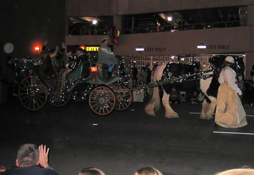 Gypsy horse dinah in denver parade of lights