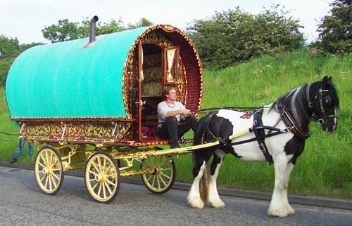 Bowtie and Gypsy Wagon